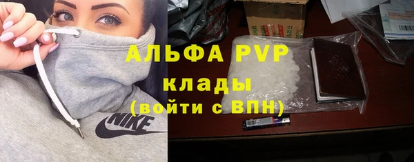 мяу мяу мука Баксан