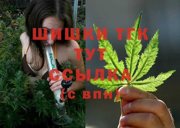 молекула духа Балахна