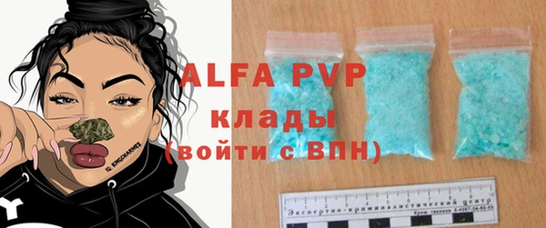 мяу мяу мука Баксан
