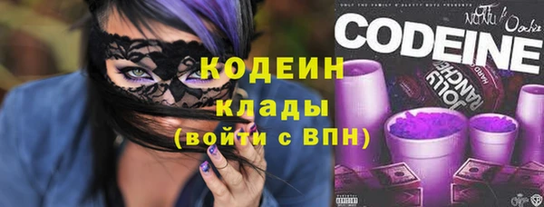 молекула духа Балахна