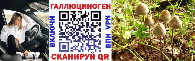 сколько стоит  Белебей  Псилоцибиновые грибы MAGIC MUSHROOMS 